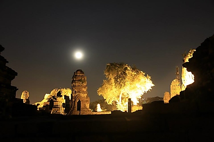 Ruines à Ayutthaya