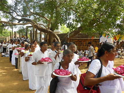 Cérémonie près du temple d'Anuradhapura
