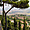 Panorama depuis Volterra