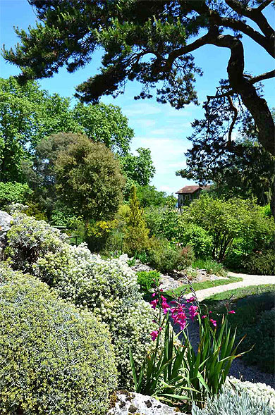 Rocaille à Genève Rocaille à Genève