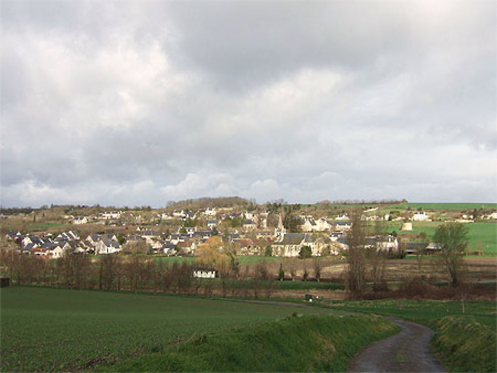 Seuilly près de Chinon