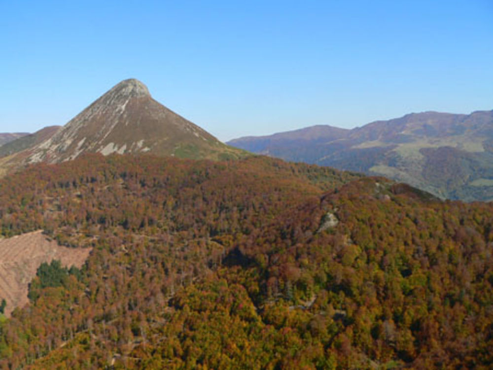 Le griou dans les mont du cantal