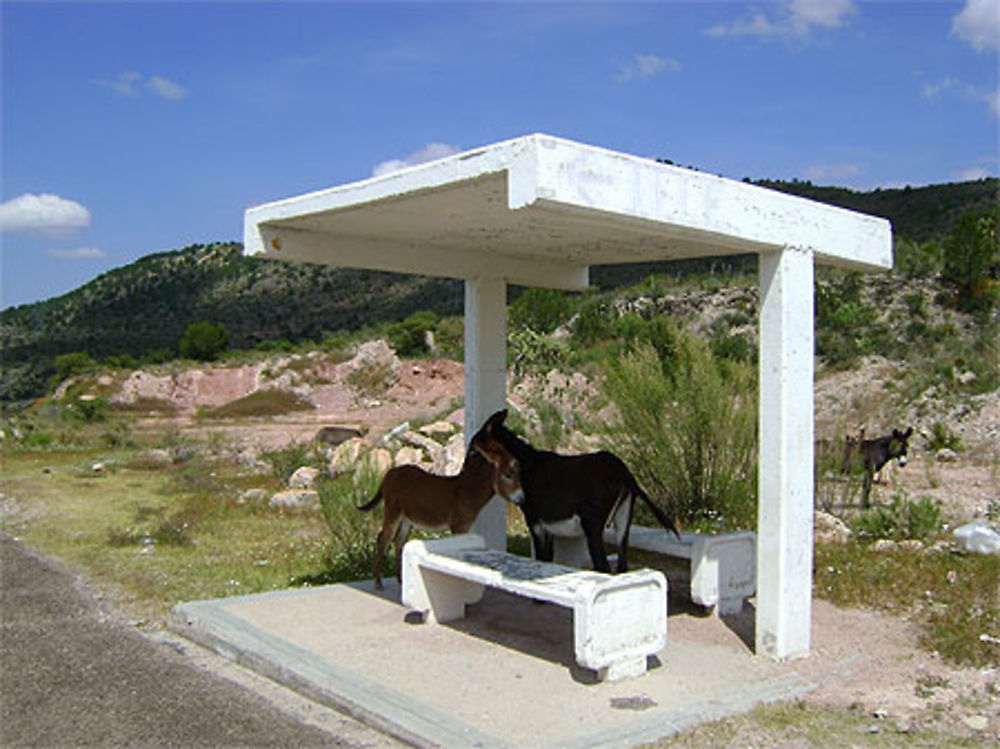 Arrêt de bus