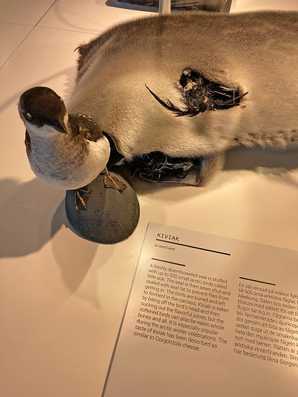 Le kiviak, fermenté dans la graisse de phoque – Groenland