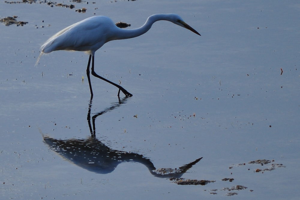 Pêcheur au petit matin