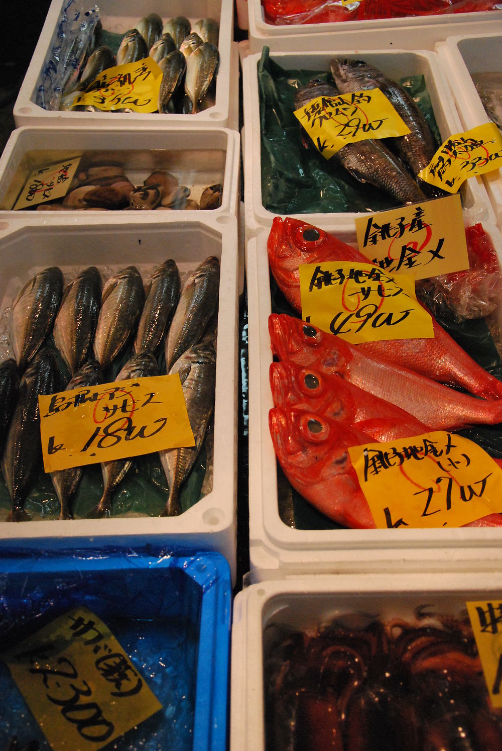 Marché aux poissons de tsukiji Tokyo