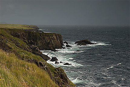 Clogher Head