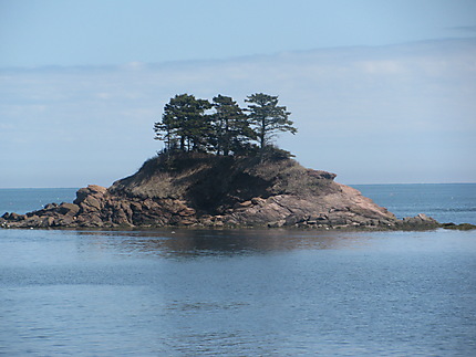Petite Île près de Newport