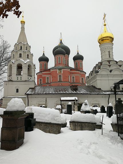 Monastère Donskoi à Moscou