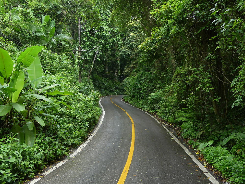 Sur la route de Bang Bao Bay