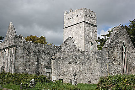 Muckross Abbey (Killarney National Park)
