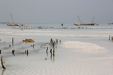 Marée basse à Jambiani