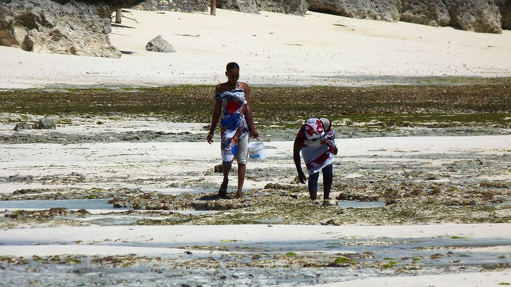 Pêche aux crustacés