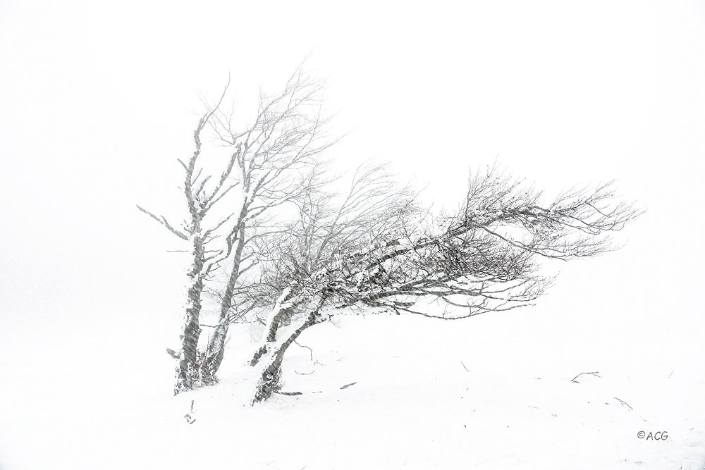 Tempête dans le Vercors