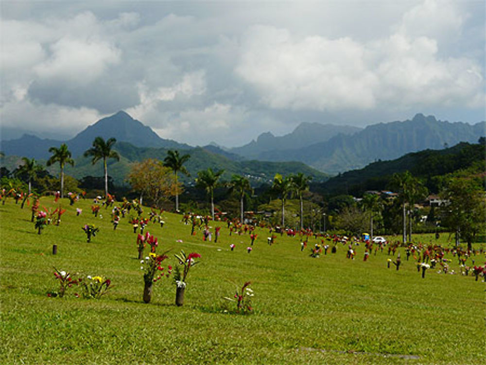 Cimetière hawaïen