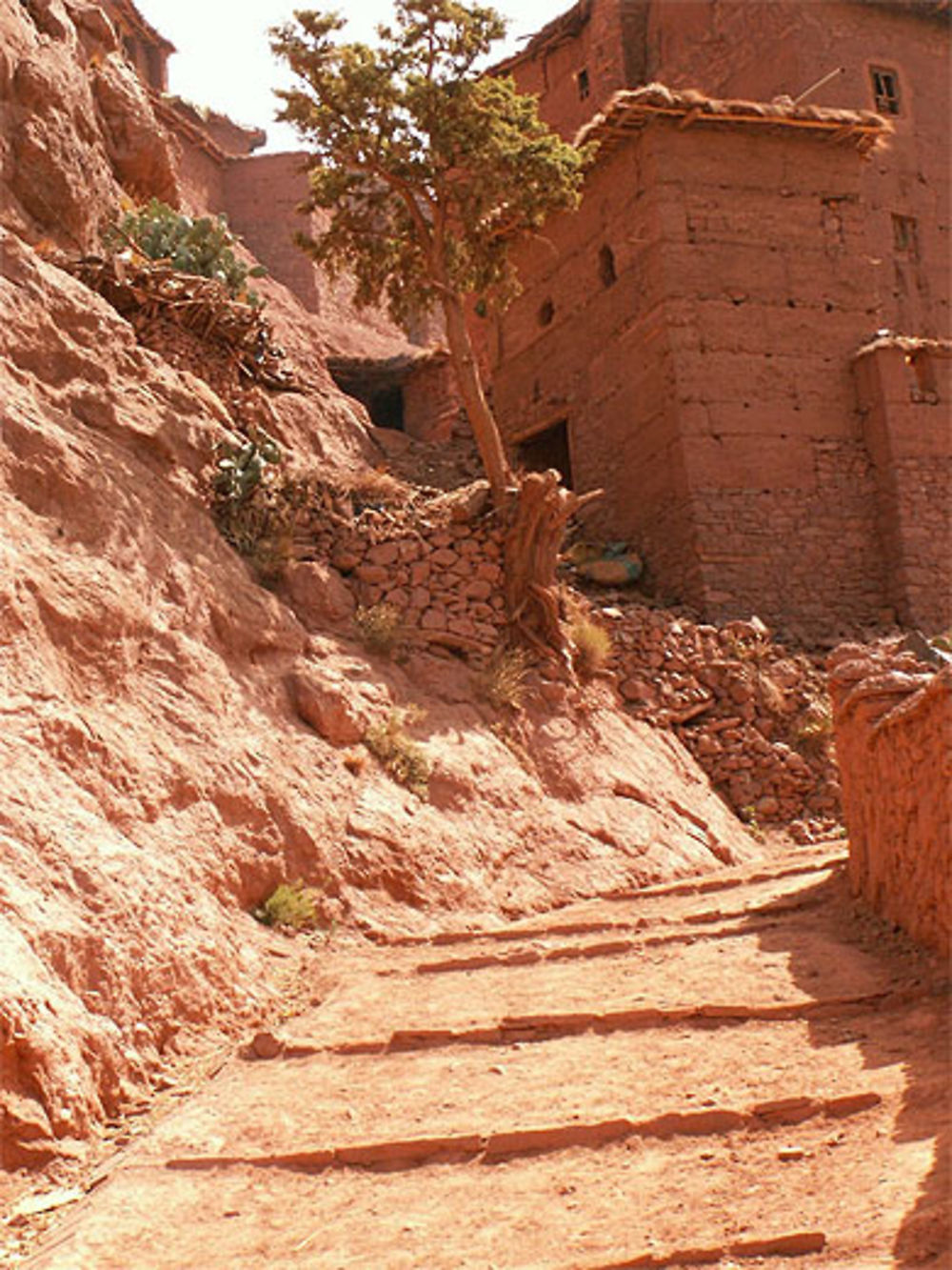 sentier de village