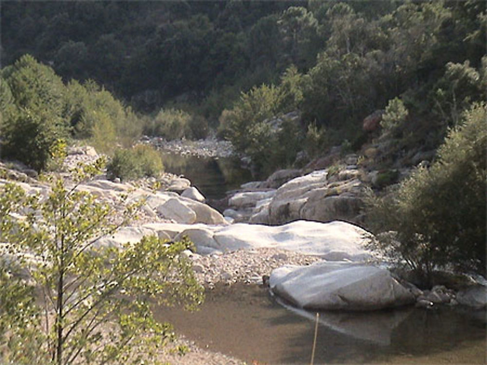 Piscine naturelle