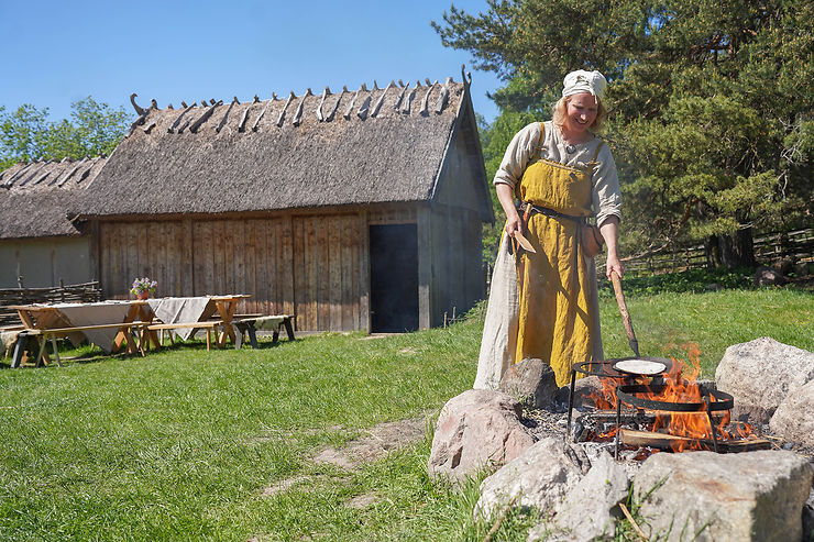 Gunnes Gard, la vie quotidienne des Vikings