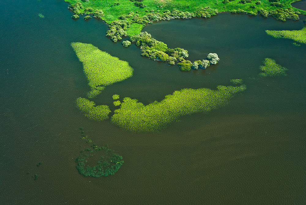 Lac de Grand-Lieu vu du ciel