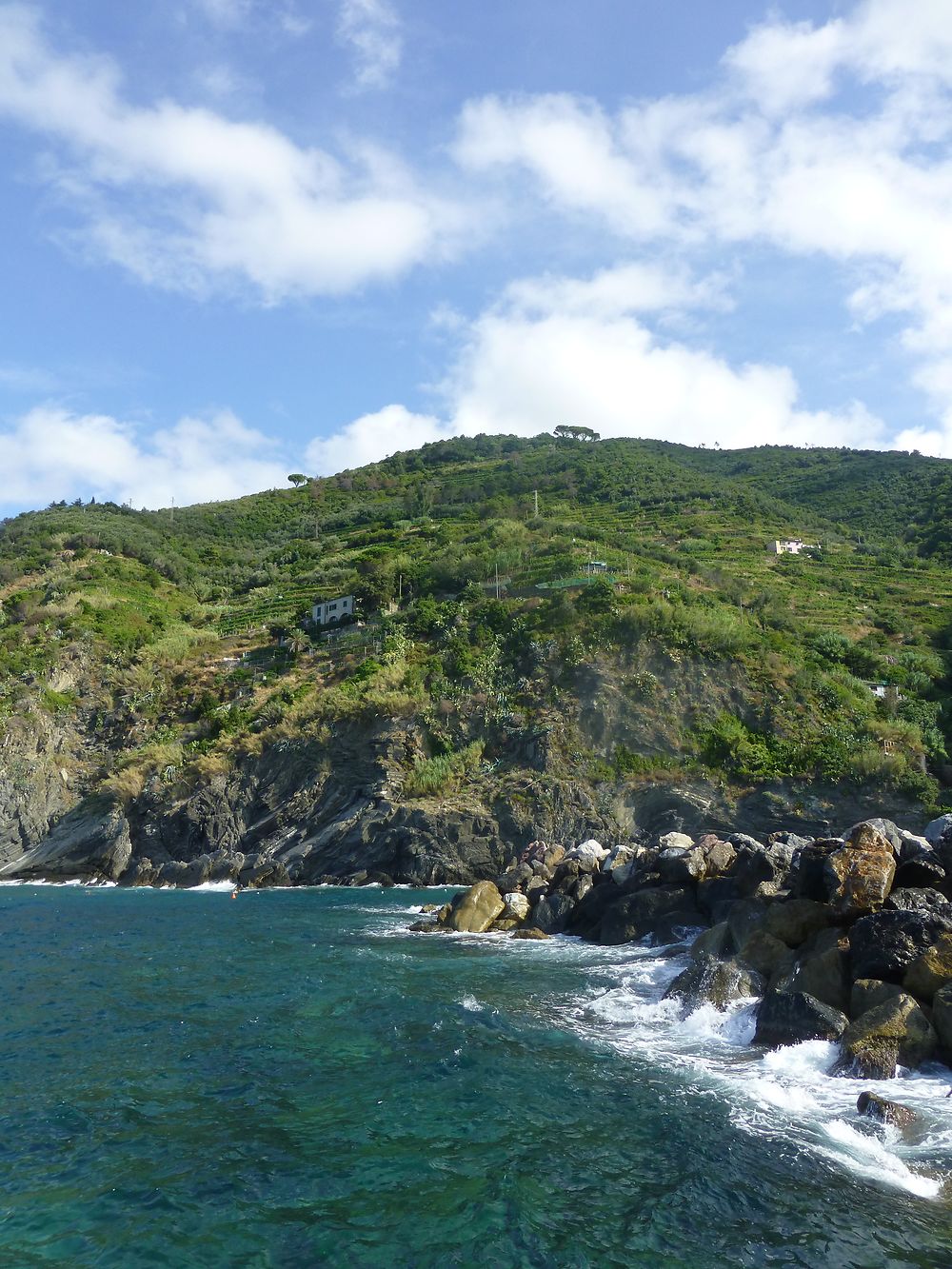 Au pied des sentiers, Cinque Terre