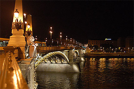 Le pont Marguerite, de nuit