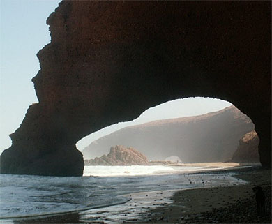 Arche Arche