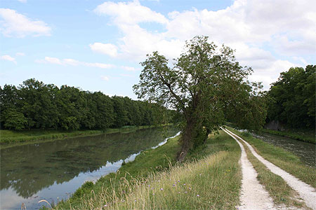Canal d'Orléans Canal d'Orléans