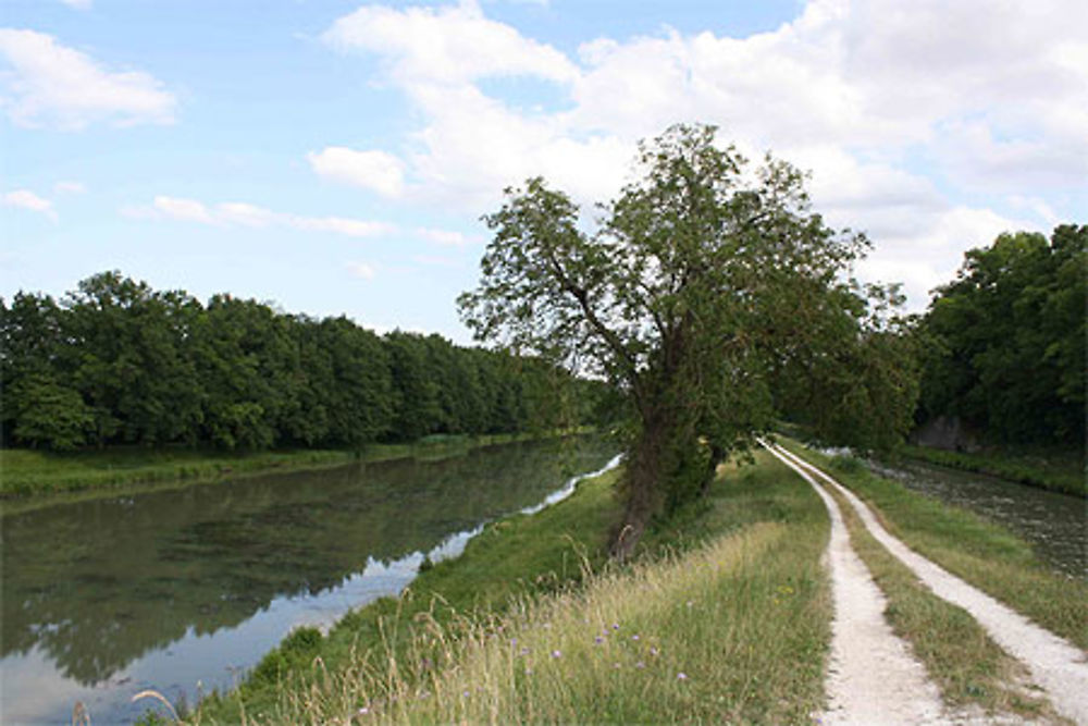 Canal d'Orléans