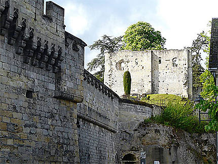 Château de Langeais