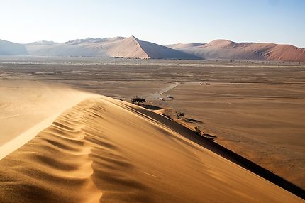 Sossusvlei, dune 45, Namibie 