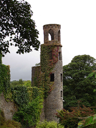 Tour du château de Blarney Tour du château de Blarney