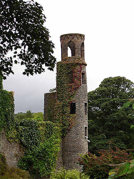 Tour du château de Blarney