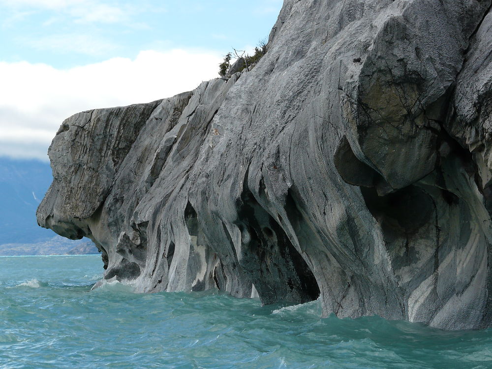 Le chien de Marmol