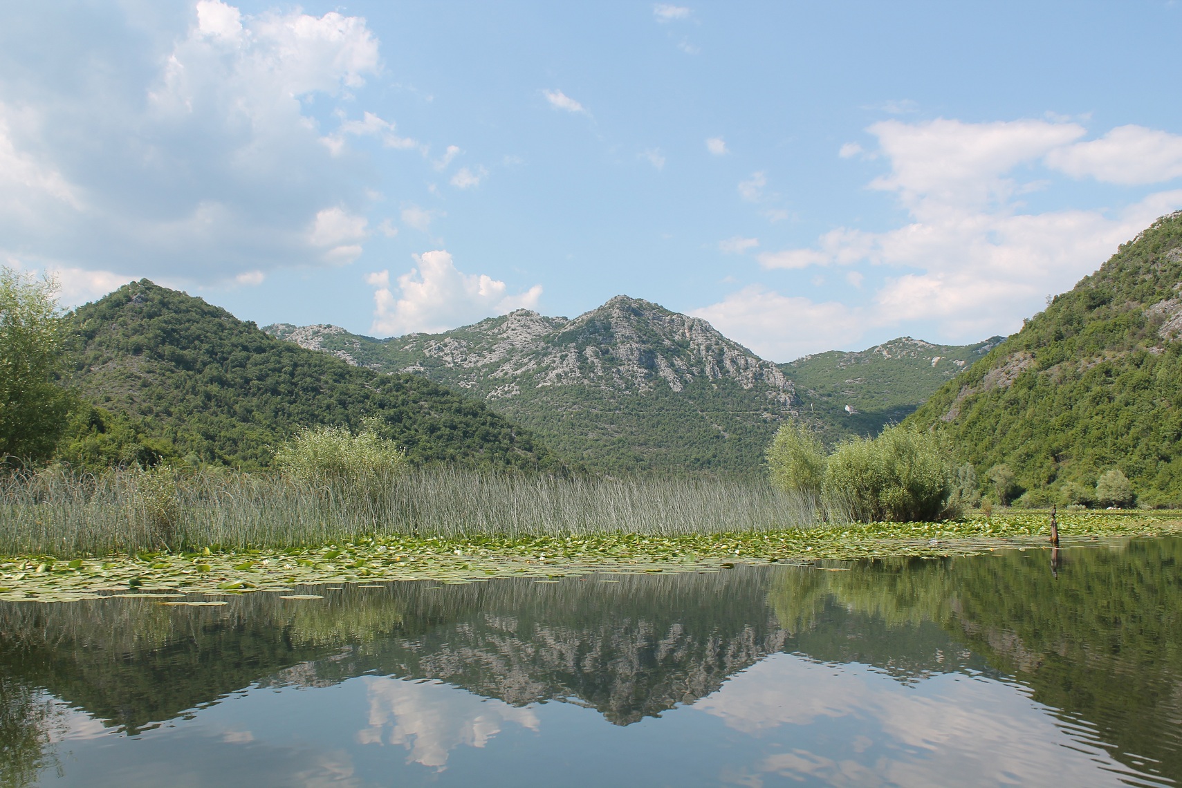 Lac Skadar Lac Skadar