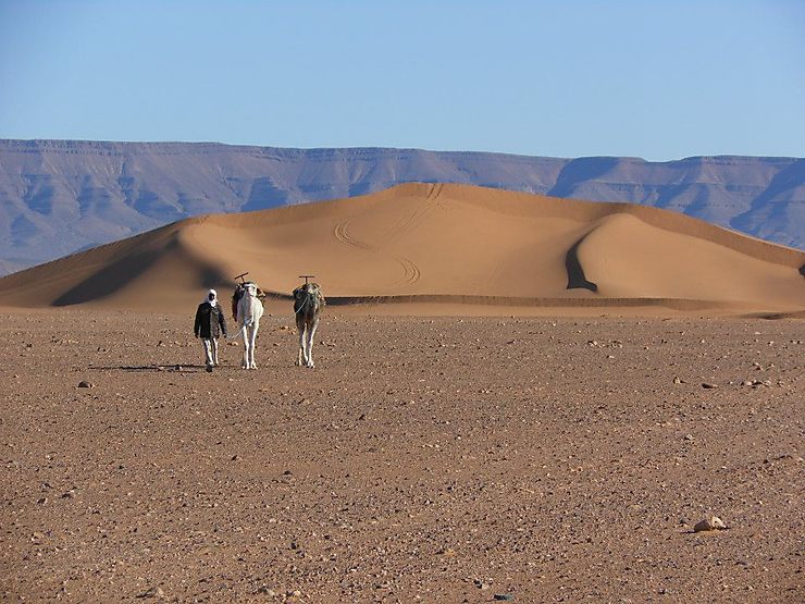 Vallée du Drâa - Maroc