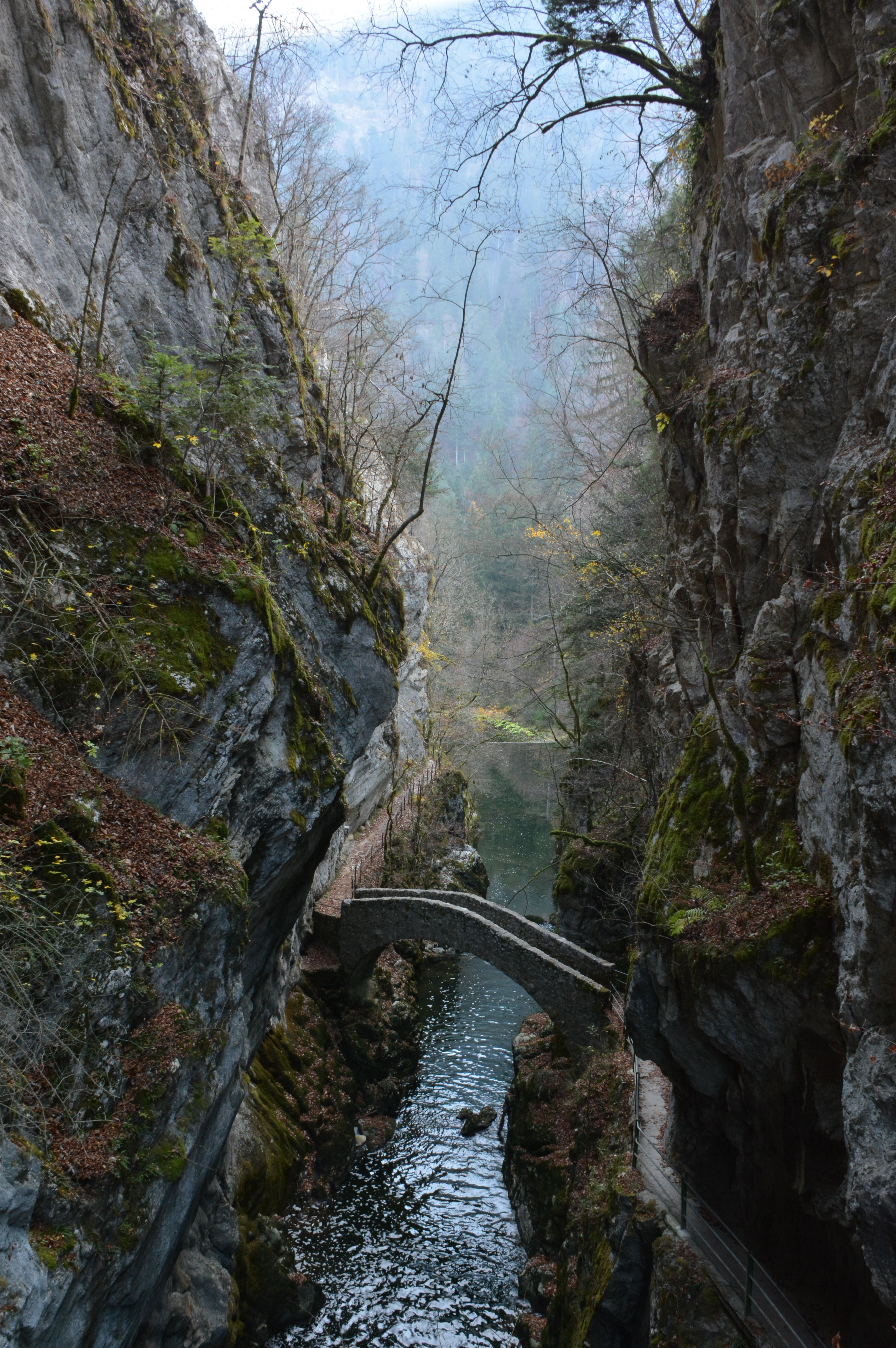 Les gorges de l'Areuse Les gorges de l'Areuse