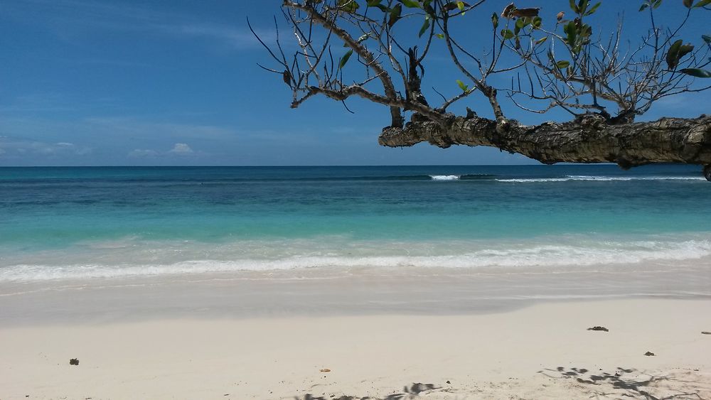 Plage des Seychelles