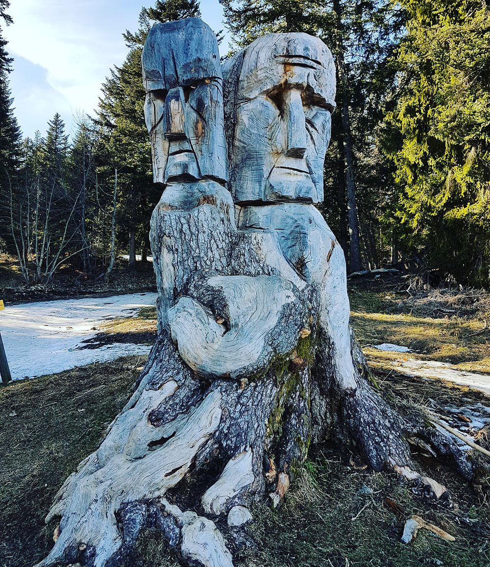 Sculpture sur un arbre au départ du Charmant Som