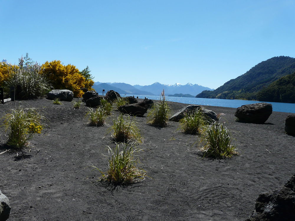 Plage de lave et chenets 