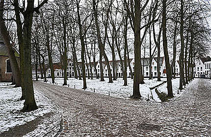 Bruges en hiver