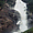 Krimmler Wasserfälle (chutes de la Krimmler Ache)