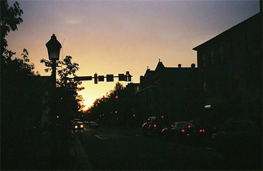 Alexandria by night