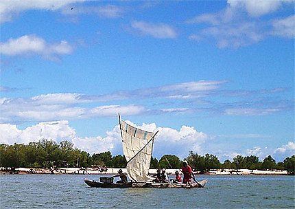 Pêcheurs en pirogue à balancier en lisière de la mangrove 