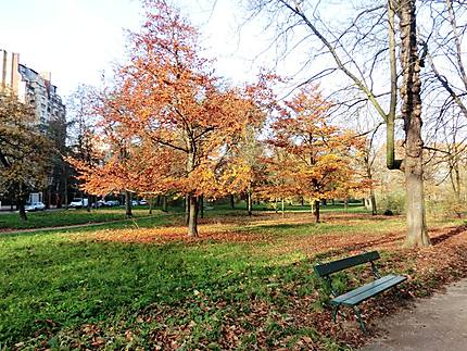 Ambiance d'automne