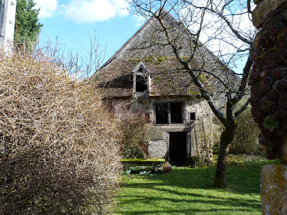 Cabane