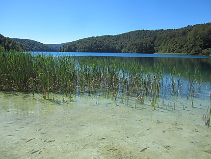 Parc National des lacs de Plitvice