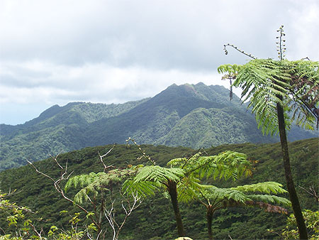 Volcan La Soufrière Volcan La Soufrière