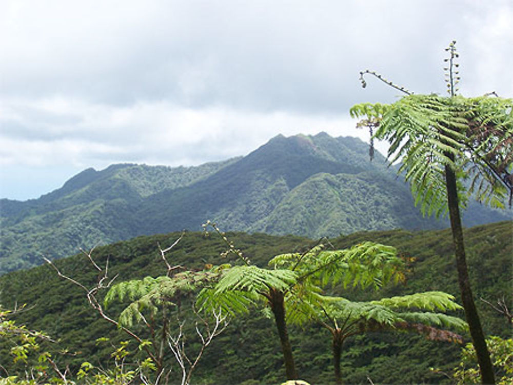 Volcan La Soufrière