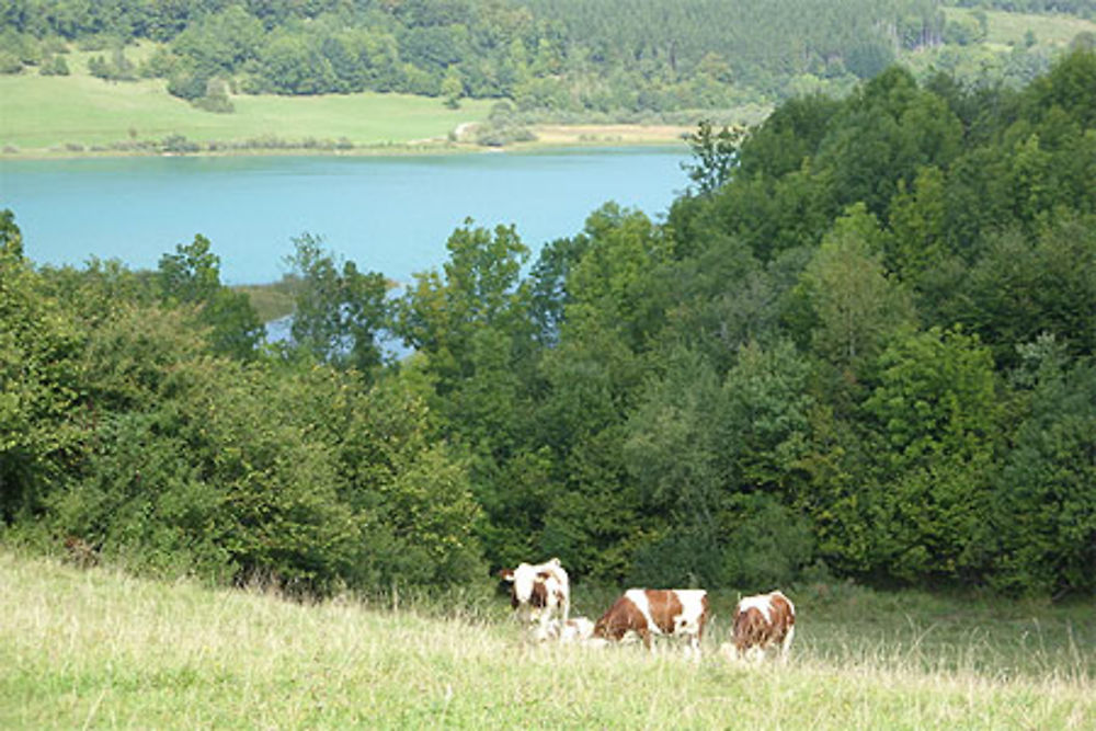 Lac d'Ilay