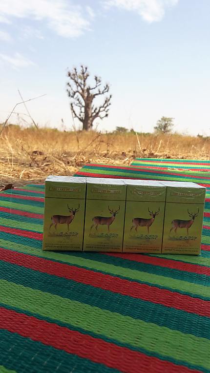 Thé vert de Chine au Sénégal: Le Cerf